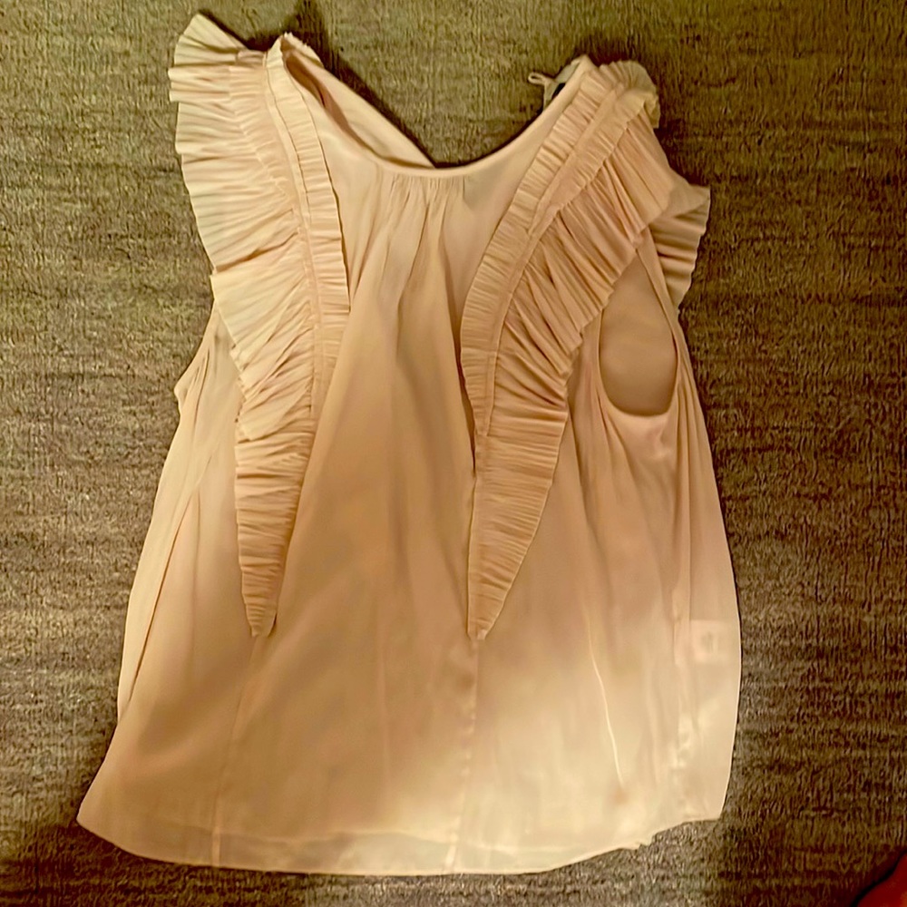 Blush joie top